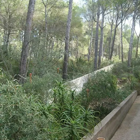 Cala Gat Villa Cala Ratjada (Mallorca)
